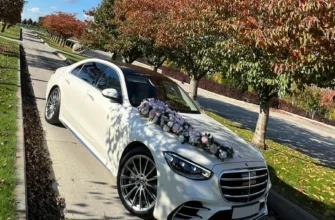 Аренда Mercedes с водителем в Ростове на Дону-10